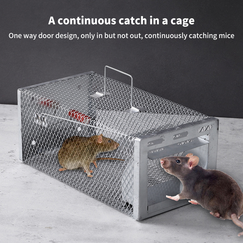 Armadilha Multi-Catch para Roe - Board Game Quacks avaliação e preço